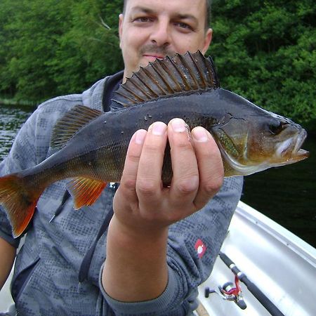 Wismens Natur&Fiske Krogsered Exteriör bild