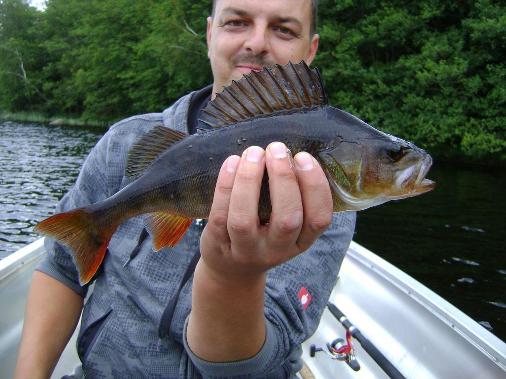 Wismens Natur&Fiske Krogsered Exteriör bild