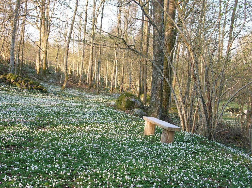 Wismens Natur&Fiske Krogsered Exteriör bild