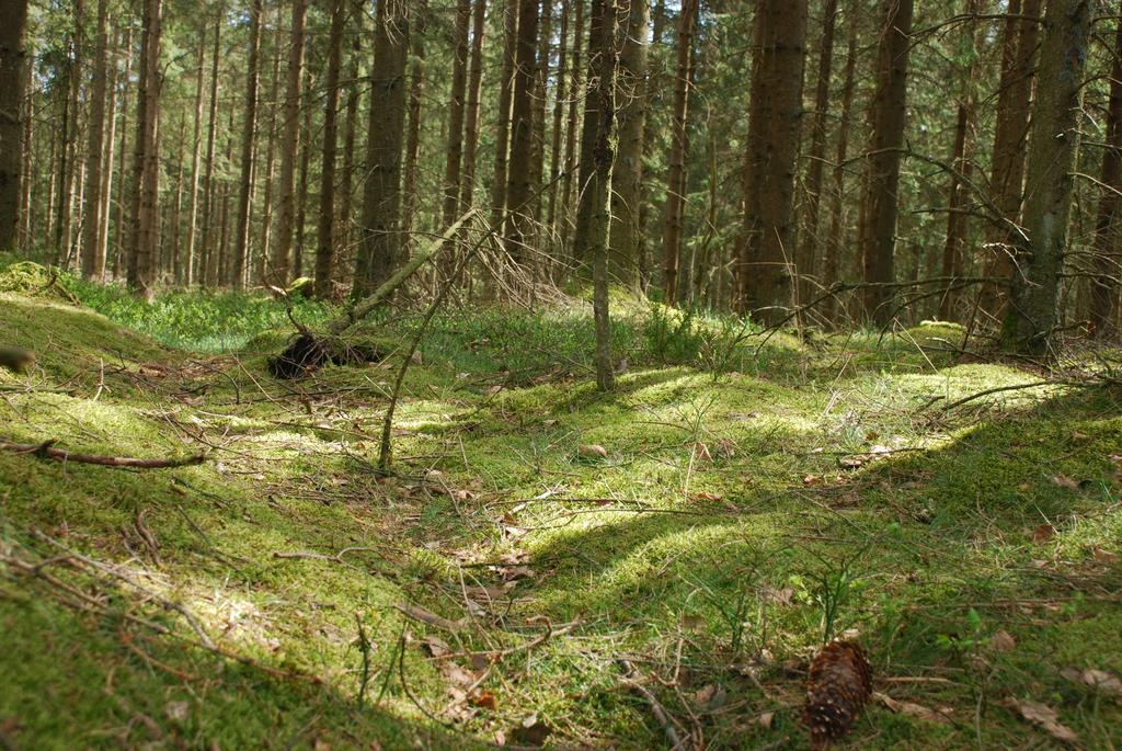 Wismens Natur&Fiske Krogsered Exteriör bild
